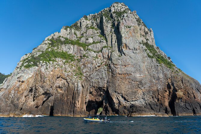 Coromandel Adventure and Wildlife Boat Tour to Aldermen Islands - Weather, timing, and staying comfortable for a short island run