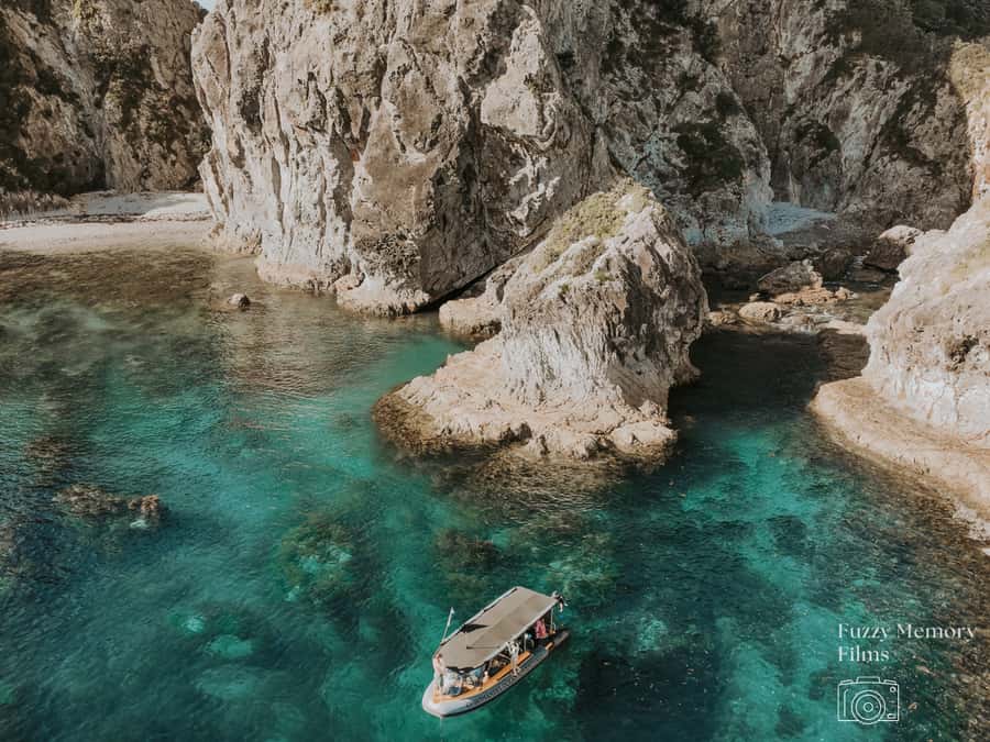 Coromandel: Aldermen Islands Marine Reserve Wildlife Cruise - Key Things to Know Before You Go