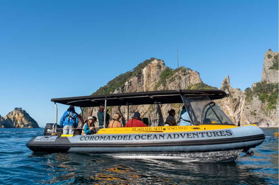 Coromandel: Aldermen Islands Marine Reserve Wildlife Cruise - Wildlife Spotting: Whales, Turtles, Seals, Dolphins, and Seabirds