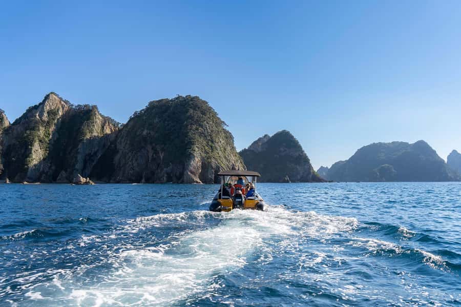 Coromandel: Aldermen Islands Marine Reserve Wildlife Cruise - Price and Value: Is $98 Worth Two Hours?
