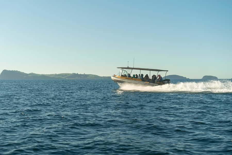 Coromandel: Aldermen Islands Marine Reserve Wildlife Cruise - Weather and Safety: How to Plan Without Stress