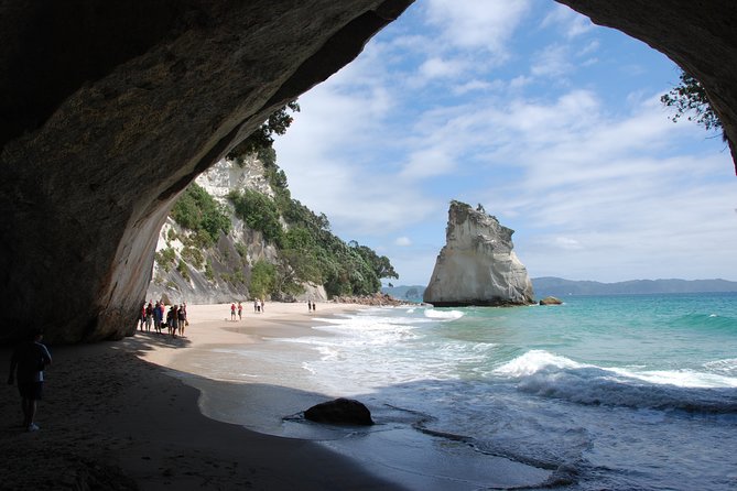 Coromandel Coastal Experience - Small Group Tour from Auckland - Auckland to Coromandel by minibus: pickup, comfort, and the drive