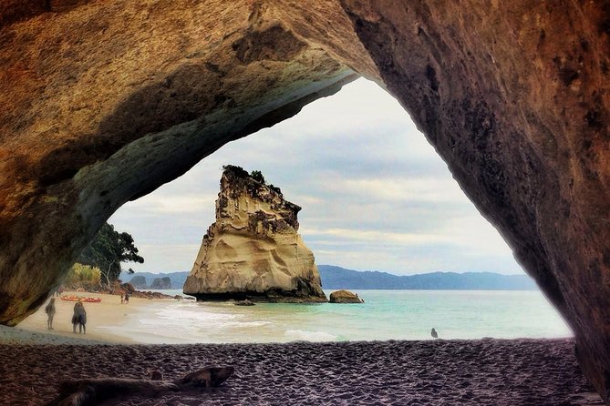 Coromandel Coastal Experience - Small Group Tour from Auckland - Hot Water Beach: digging your thermal spa on the sand