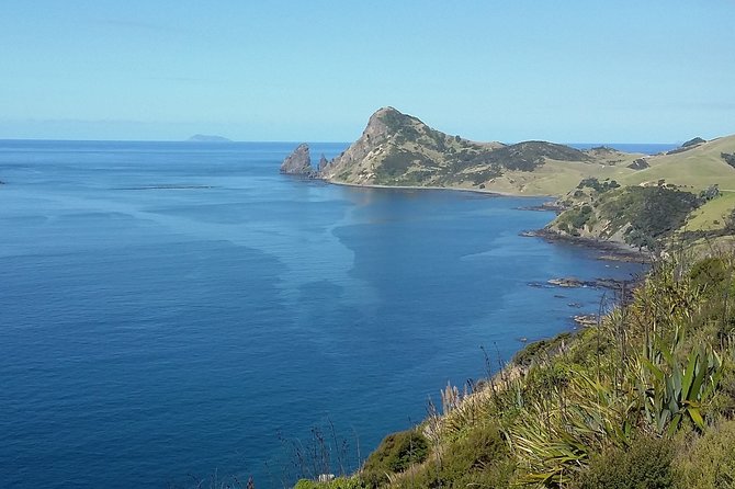 Coromandel Coastal Experience - Small Group Tour from Auckland - The small-group experience: how the day stays smooth