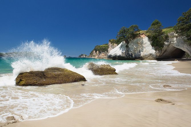 Coromandel Coastal Experience - Small Group Tour from Auckland - Price and value: what you’re really paying for