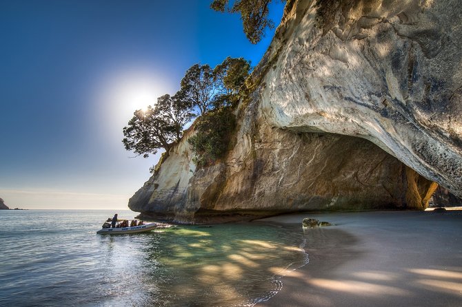 Coromandel Coastal Experience - Small Group Tour from Auckland - Who this Coromandel day trip suits best