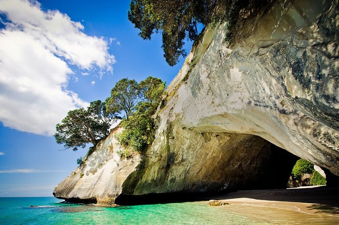 Coromandel Coastal Experience - Small Group Tour from Auckland - Coffee and a comfort break in Thames before the coast