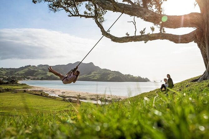 Coromandel Day Tour From Auckland - Cathedral Cove walk: photo stop energy and shoreline time