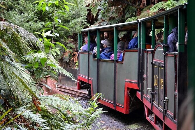 Coromandel Day Tour From Auckland - Price and value at $284.84 per person