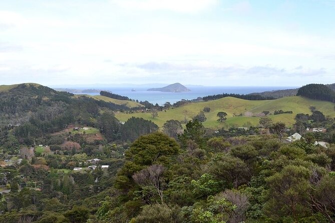 Coromandel Day Tour From Auckland - Who this Coromandel day tour suits best
