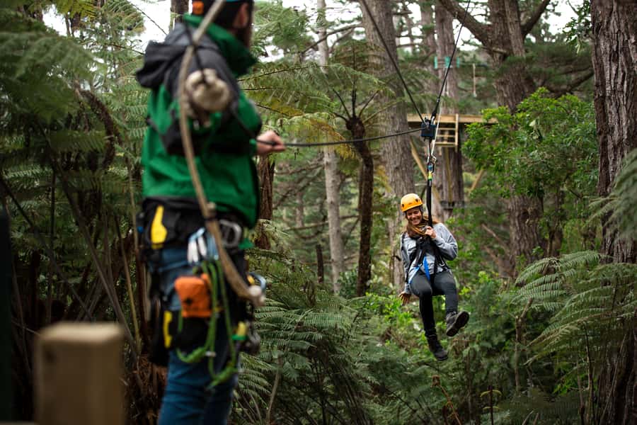 Coromandel: Guided Zipline Tour Experience - Coromandel’s zipline starts with a short mountain train ride