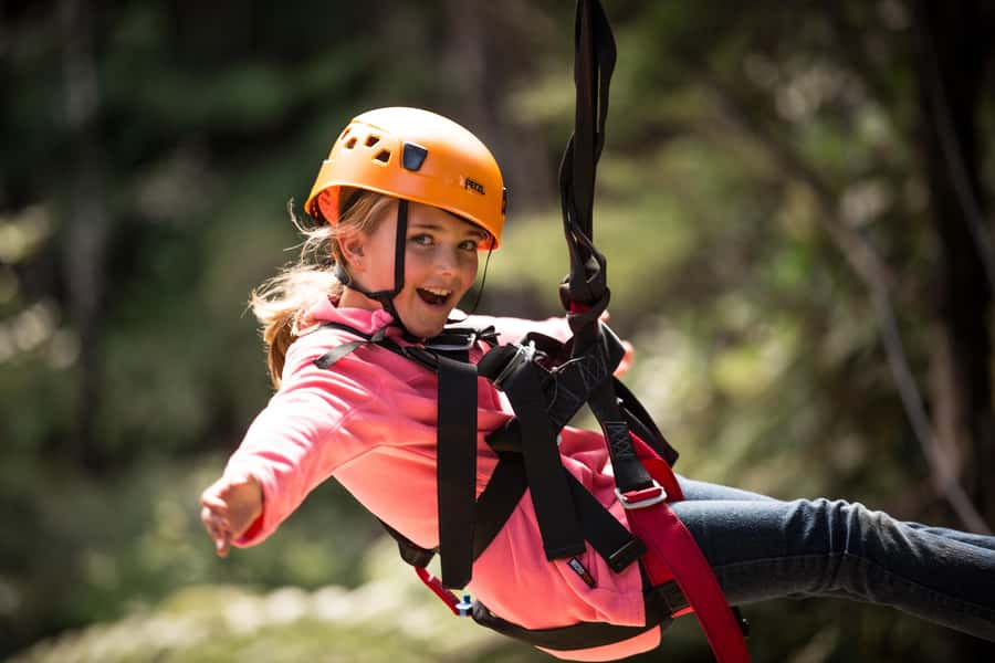 Coromandel: Guided Zipline Tour Experience - The real win: learning how the forest returned