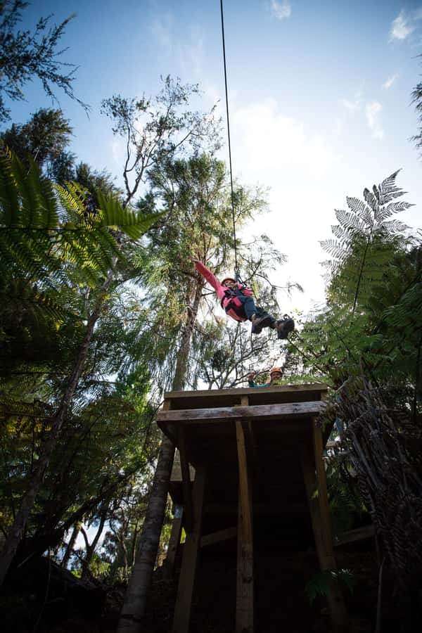 Coromandel: Guided Zipline Tour Experience - What the itinerary feels like hour by hour