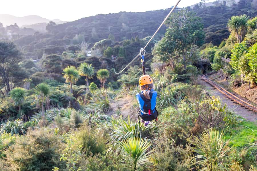 Coromandel: Guided Zipline Tour Experience - Weather and clothing: how to stay comfortable in Coromandel
