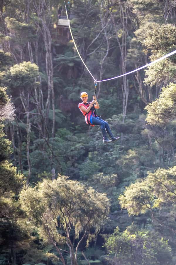 Coromandel: Guided Zipline Tour Experience - Limits that matter before you book