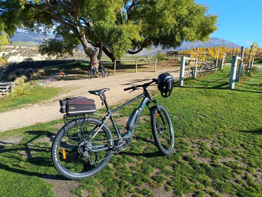 Cromwell: Lake Dunstan Trail Bike Rental and Luxury Shuttle - Bike fleet basics: helmets, rack bags, and the little kit that matters