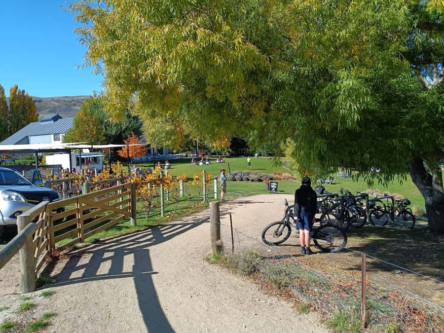 Cromwell: Lake Dunstan Trail Bike Rental and Luxury Shuttle - Clip-ons and the Hugo bridge: where to keep your attention