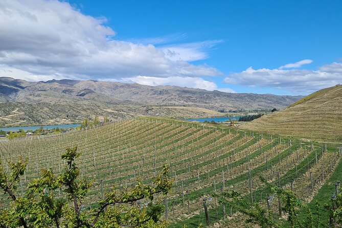 Cromwell Wine Tasting Tour using Classic Car - Guide Bob, Friendly Service, and the Win That Comes From Being Known