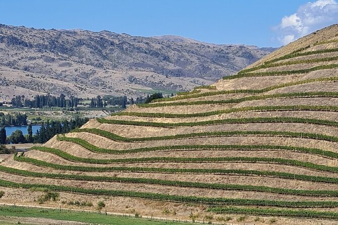 Cromwell Wine Tasting Tour using Classic Car - Should You Book the Cromwell Classic Car Wine Tasting Tour?