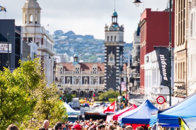 Cruise Dunedin City and Castle Tour - Why this Dunedin city and Larnach Castle day works