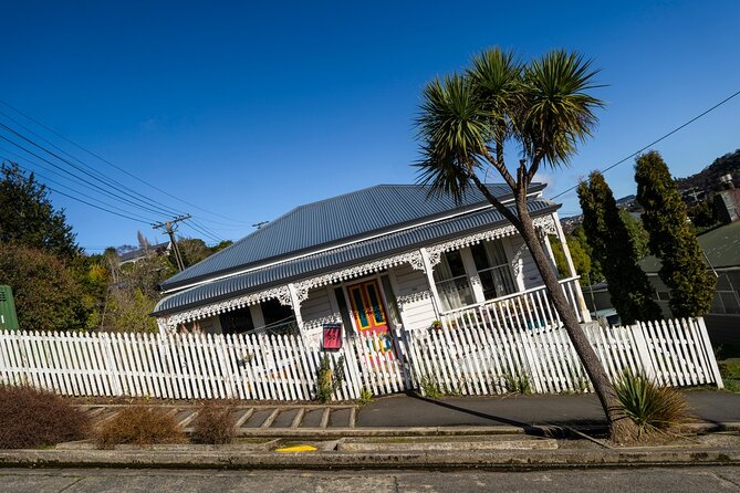 Cruise Dunedin City and Castle Tour - Otago Peninsula drive: views on the way to Larnach Castle