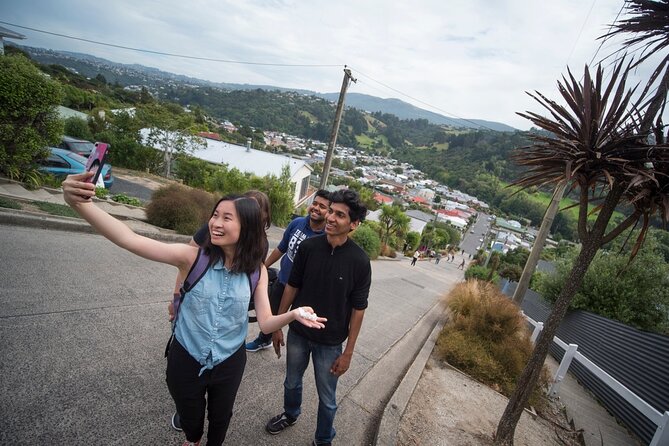 Cruise Dunedin City and Castle Tour - Larnach Castle and Gardens: 90 minutes to explore at your pace