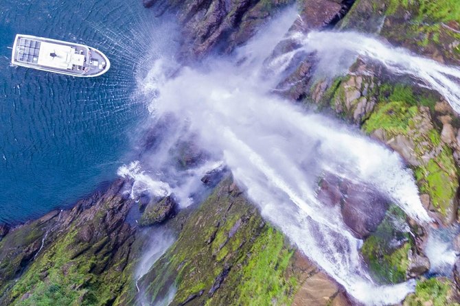 Cruise Milford NZ Small Boutique Cruise Experience - Key Highlights You’ll Care About