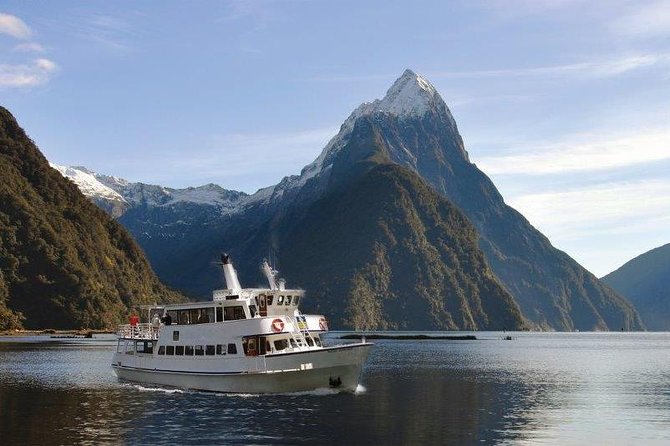 Cruise Milford NZ Small Boutique Cruise Experience - Why Milford Sound Feels More Personal on a Half-Filled Boat
