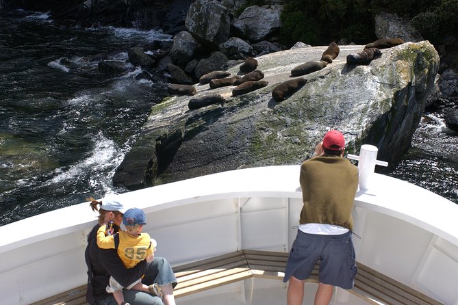 Cruise Milford NZ Small Boutique Cruise Experience - Wildlife Spotting Without the Pushy Feel