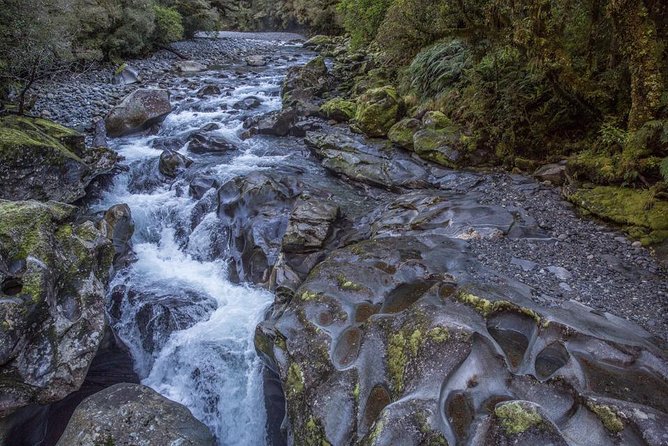 Cruise Milford Small Group Day Tour from Queenstown - Eglinton Valley and Mirror Lakes: the quick stops that you will remember
