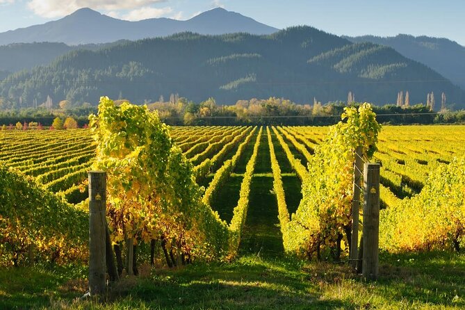 CRUISE SHIP DAY Marlborough Hop On Hop Off Wine Tours - Wineries, Cellar Doors, and Tasting Strategy: How to Pick