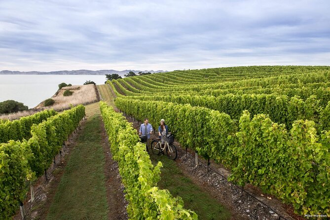 CRUISE SHIP DAY Marlborough Hop On Hop Off Wine Tours - What to Expect at Each Stop Time Window