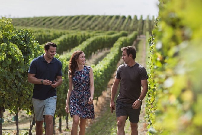 CRUISE SHIP DAY Marlborough Hop On Hop Off Wine Tours - Driver Tips, Comfort, and the Big Real-World Constraint