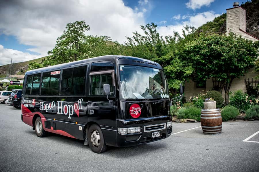 CRUISE SHIP DAYS - HOP ON HOP OFF - Wine, Beer, Food Tour - Building your day with 30-minute stops and tasting time