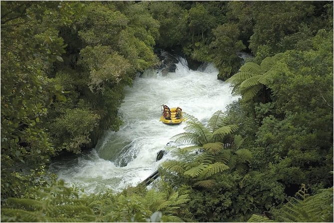Cultural Performance - The Location Advantage, and How to Plan Your Rotorua Day