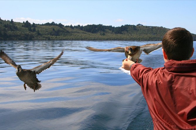 Daily Scenic Maori Rock Carving Cruise Taupo - Stop 1 at Lake Taupo Marina, A Quick Start That Sets the Scene