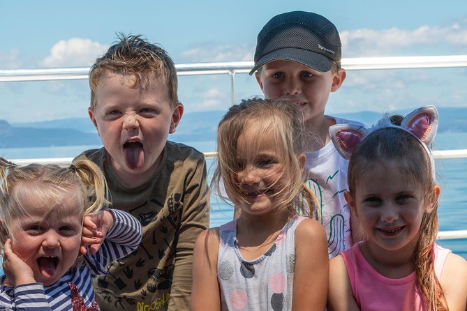 Daily Scenic Maori Rock Carving Cruise Taupo - Tongariro National Park Views, Volcanology Talk, and the Big Picture