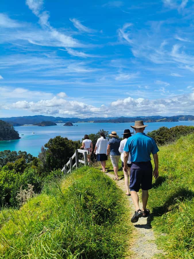 Day Sailing Charter on Catamaran with Lunch : Bay Of Islands - The 6 hours at sea: coastline views, marine life spotting, and a sailing return