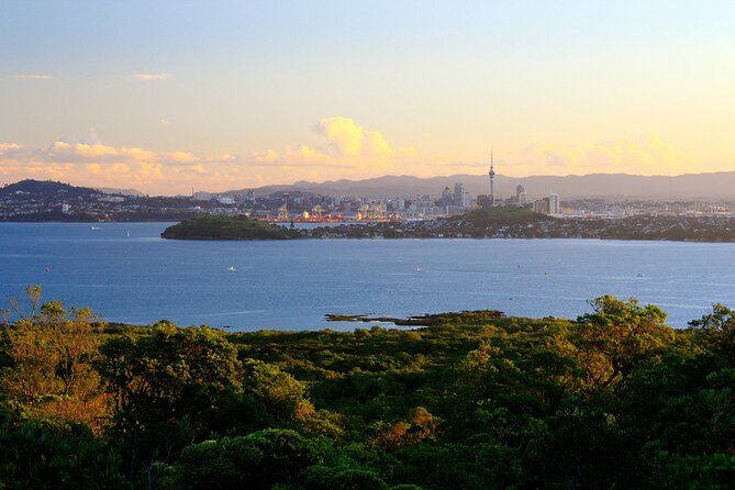 Day sea kayak tour Rangitoto Island - Why Rangitoto by kayak beats the usual Auckland option