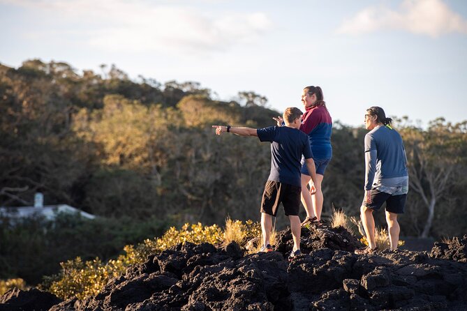 Day sea kayak tour Rangitoto Island - Crossing Waitemata Harbour: the paddle, the pace, and the wildlife odds