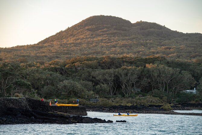 Day sea kayak tour Rangitoto Island - Rangitoto summit hike: what you’re really signing up for