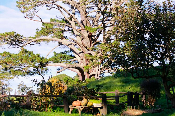 Day Tour Hobbiton + Rotorua from Auckland in Luxury Minibus - Price and value: what $312.77 is buying you