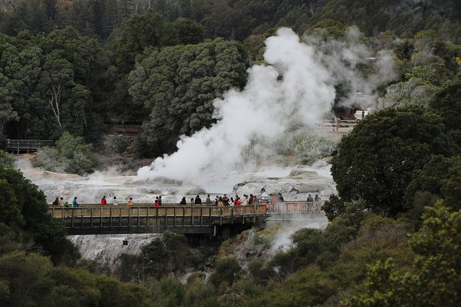 Day Tour Hobbiton + Rotorua from Auckland in Luxury Minibus - Best-fit travelers, and the one reason you might regret booking