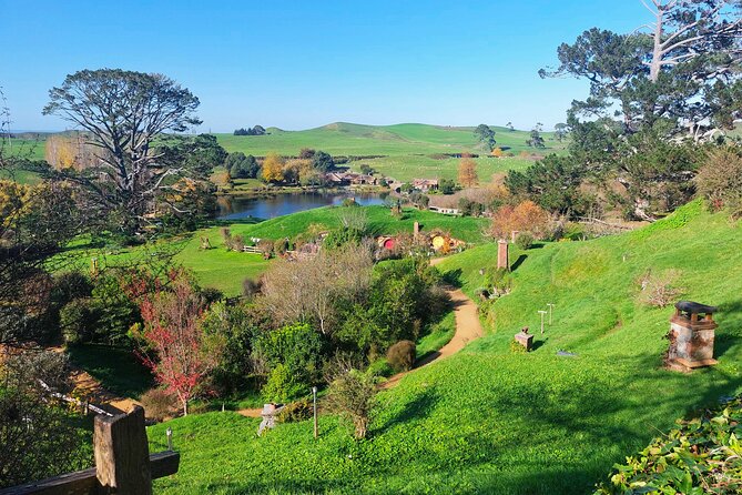 Day Tour Hobbiton + Rotorua from Auckland in Luxury Minibus - My booking advice: should you book Hobbiton and Rotorua this way?