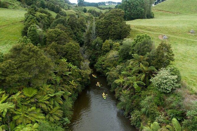 Daytime Canyon Kayak Tour - Pokaiwhenua Stream: the calm setup before the canyon