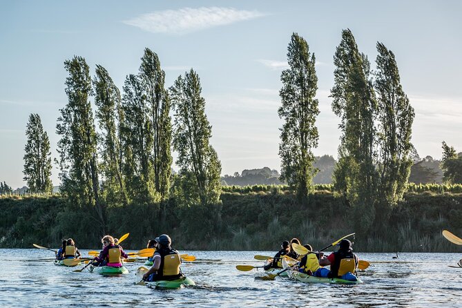 Daytime Canyon Kayak Tour - Practical value: $73.85 for three hours of guided, story-driven paddling