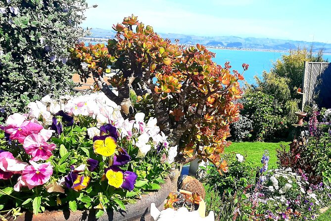 Deco Napier, Te Mata Peak, Garden Walk and Wine Tasting Tour - Te Mata Peak: 399 meters of air and big-sky views