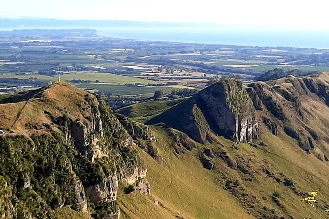 Deco Napier, Te Mata Peak, Garden Walk and Wine Tasting Tour - Meeting at Napier iSite and how the small-group format feels