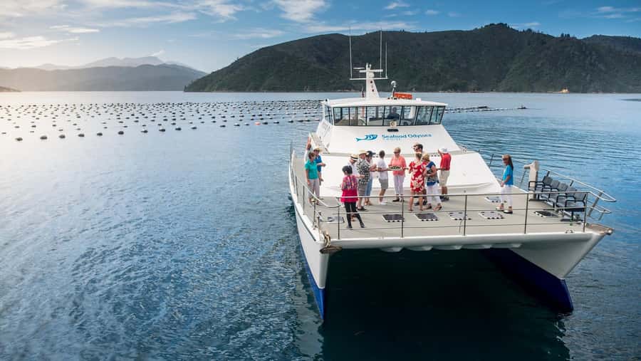 Depart Picton: Marlborough Sounds Afternoon Seafood Cruise - Queen Charlotte Sound views start at Picton Marina wharves 5 and 6