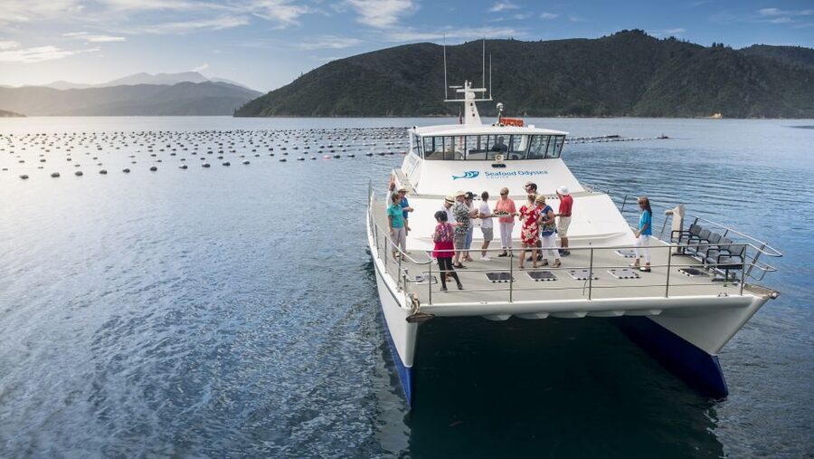 Depart Picton: Marlborough Sounds Afternoon Seafood Cruise - Who this Marlborough Sounds cruise is best for